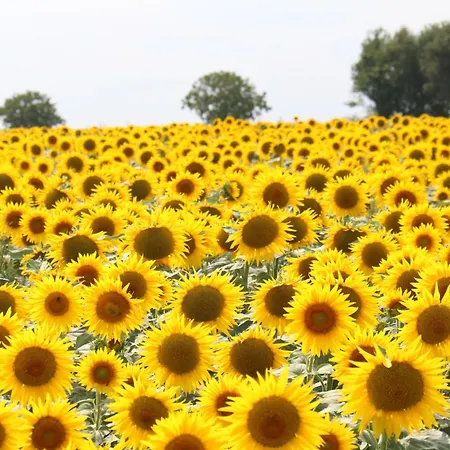 Logis La Tour - La Tour Saint-Laurent-de-la-Salle